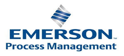 Emerson Process Management logo